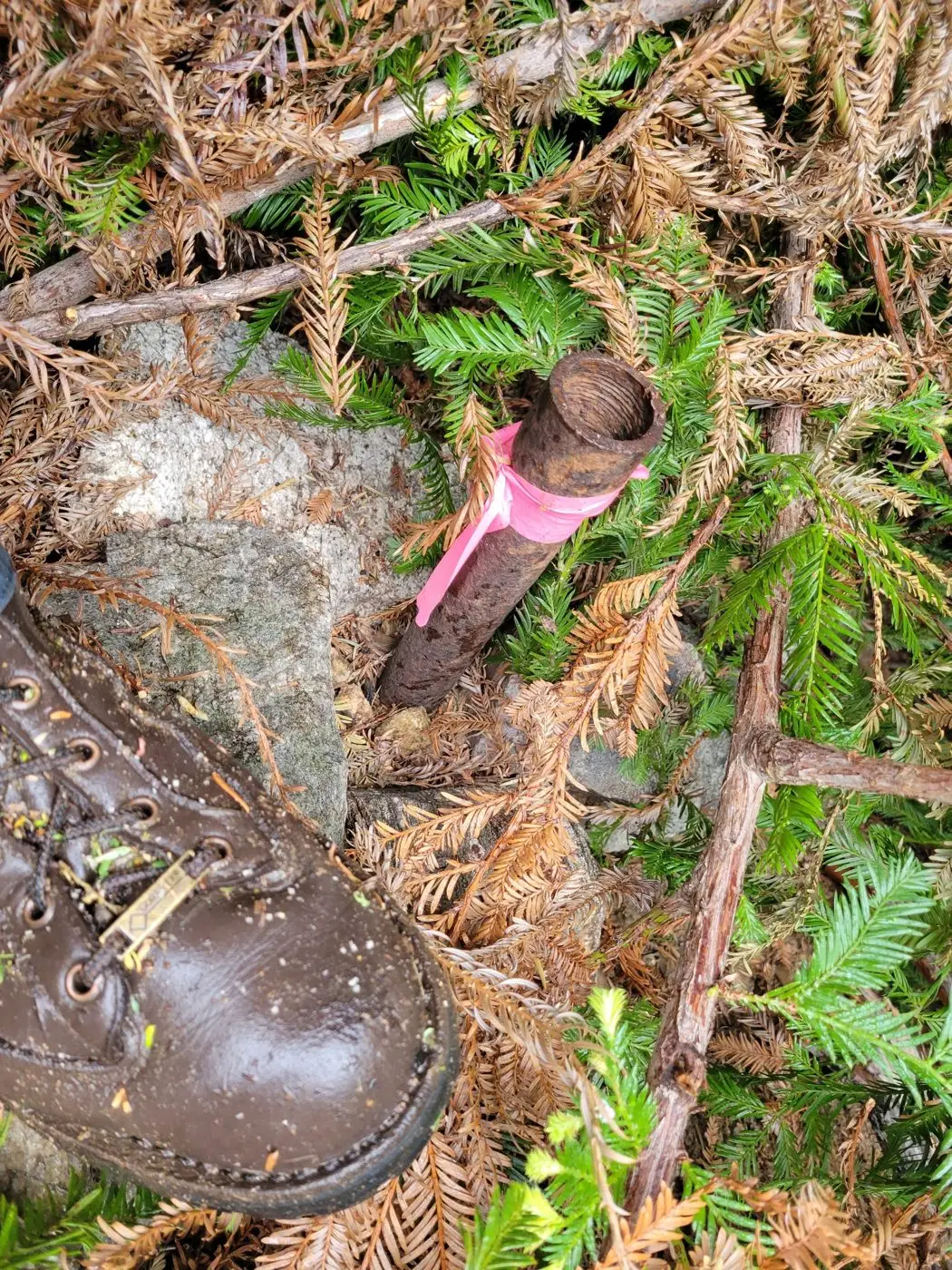 Old rusted iron pipe monument flagged in pink, among redwood needles and rocks