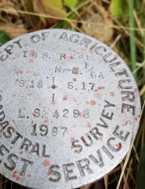 Aluminum Forest Service cadastral survey cap stamped L.S. 4298, 1987
