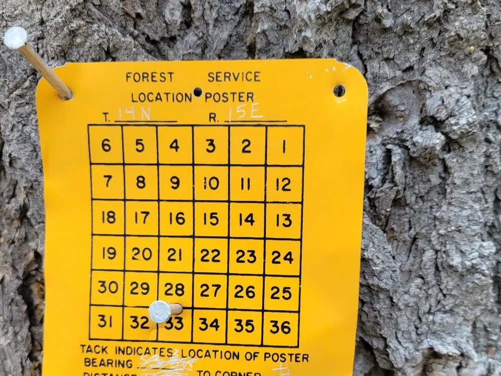 Yellow Forest Service location poster nailed to a tree, marking a section corner